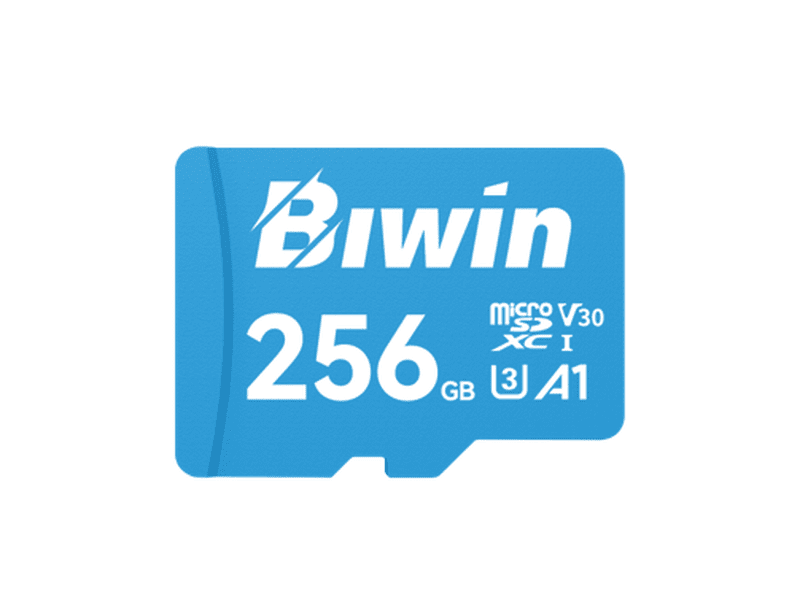 BIWIN MS100-256G microSD3.0 Read & Write Speed up to 100MB/s & 50MB/s BMMS100256G-RGX