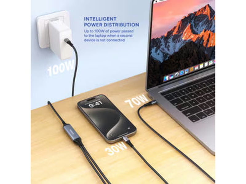 2m USB-C to 2 x USB-C Dual Charge Cable 100W