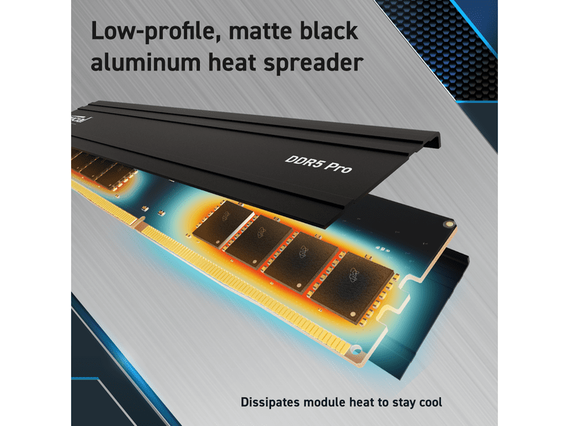 Crucial Pro 48GB DDR5 Desktop Memory PC5-44800 5600MHz CP48G56C46U5