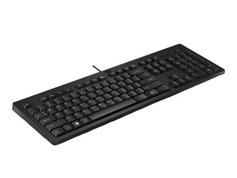 HP 125 Wired Keyboard - Compatible with Windows 10, Desktop PC, Laptop, Notebook USB Plug and Play Connectivity, Easy Cleaning 1YR WTY