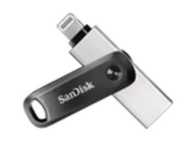 SanDisk iXpand Flash Drive Go, SDIX60N 256GB, Black
