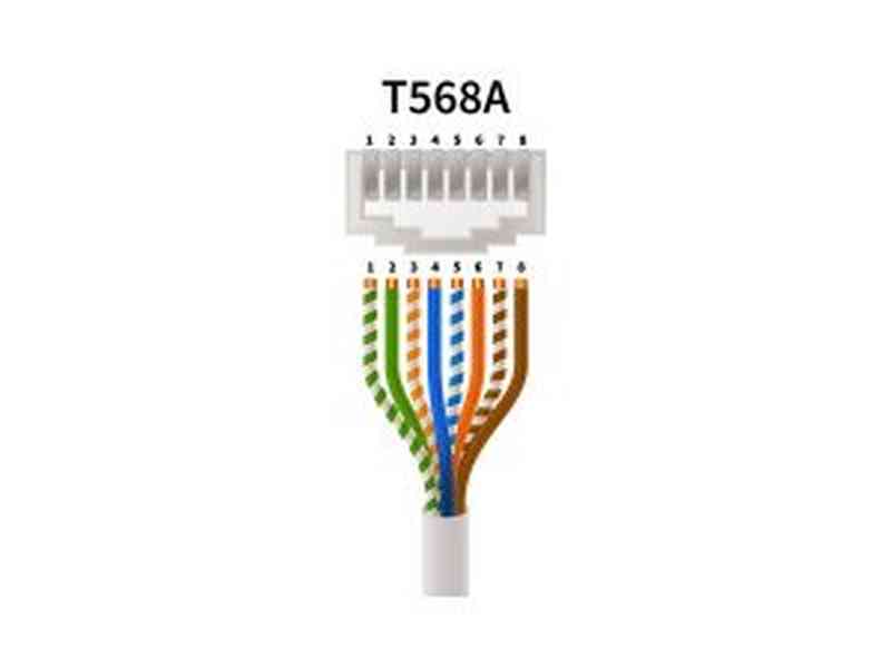 50cm RJ45 Cat 6 Patch Cable - Pink