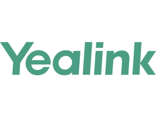 Yealink USB2CAT5E-EXT Cat5e USB Extender, up to 40m