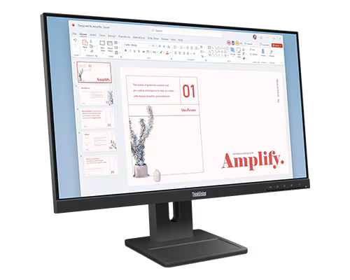 Lenovo 64BAMAR1AU ThinkVision E24-40 100Hz Full HD Anti-Glare IPS Business Monitor