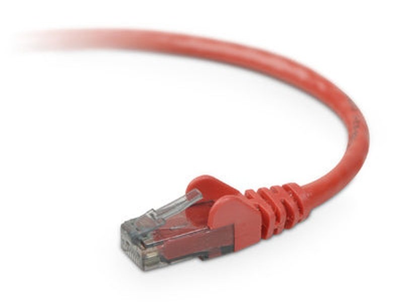 Belkin CAT6 10M Red Cable