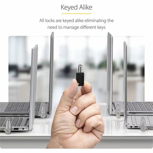 StarTech 25-Pack 3-in-1 Keyed Universal Laptop Cable Lock - 6.6ft (2m)