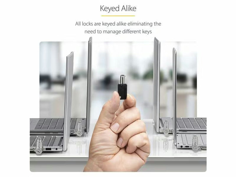 StarTech 25-Pack 3-in-1 Keyed Universal Laptop Cable Lock - 6.6ft 2m