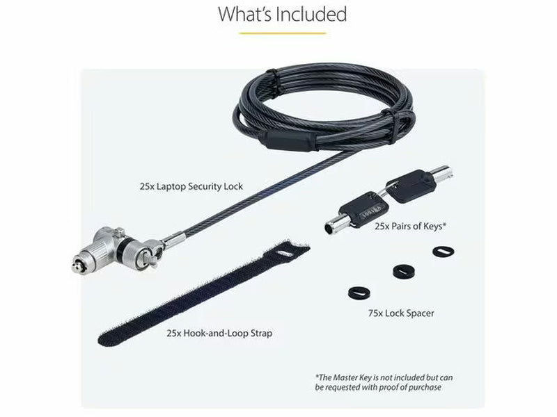 StarTech 25-Pack 3-in-1 Universal Laptop Lock - 6.6ft 2m