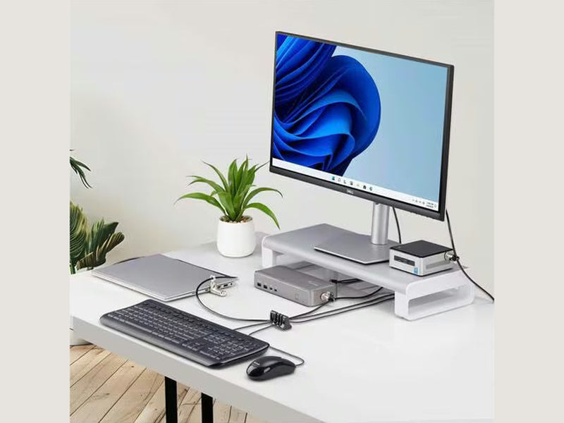 StarTech Peripheral Cable Anchor Lock, Secure Keyboard/Mouse For Shared Computer
