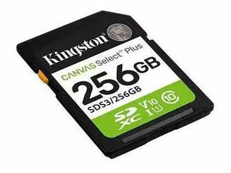 Kingston SDS3/256GB Canvas Select Plus 256GB Class 10/UHS-I U1 V10 SDXC - 1 - 150 MB/s Read