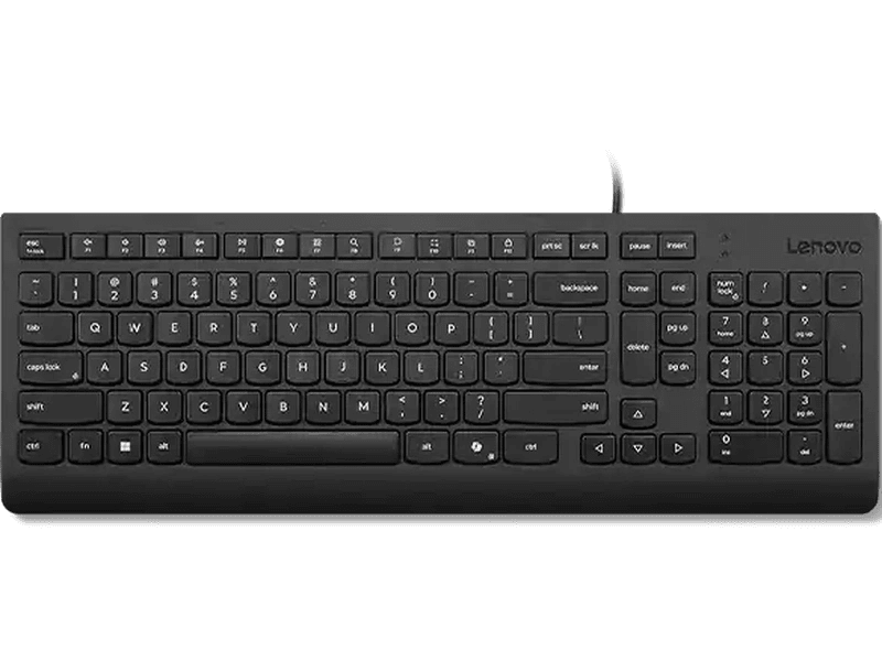 Lenovo Essential Wired Keyboard with Copilot Key Black - 4Y41R64633