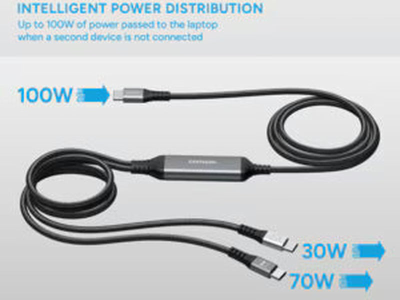 2m USB-C to 2 x USB-C Dual Charge Cable 100W - C2C15BK