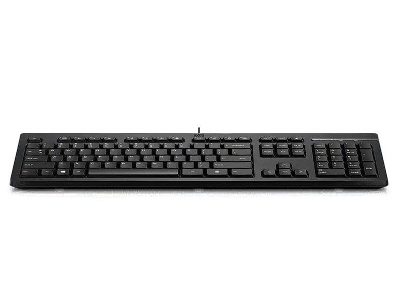 HP 125 Wired Keyboard - Compatible with Windows 10, Desktop PC, Laptop, Notebook USB Plug and Play Connectivity, Easy Cleaning 1YR WTY