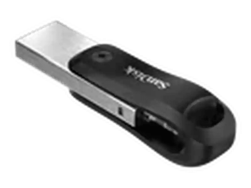 SanDisk iXpand Flash Drive Go, SDIX60N 256GB, Black