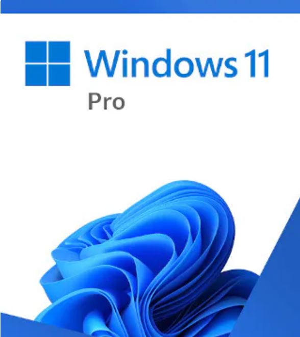Microsoft Windows 11 Professional 64-bit USB Flash Drive Retail Pack Win 11 Pro
