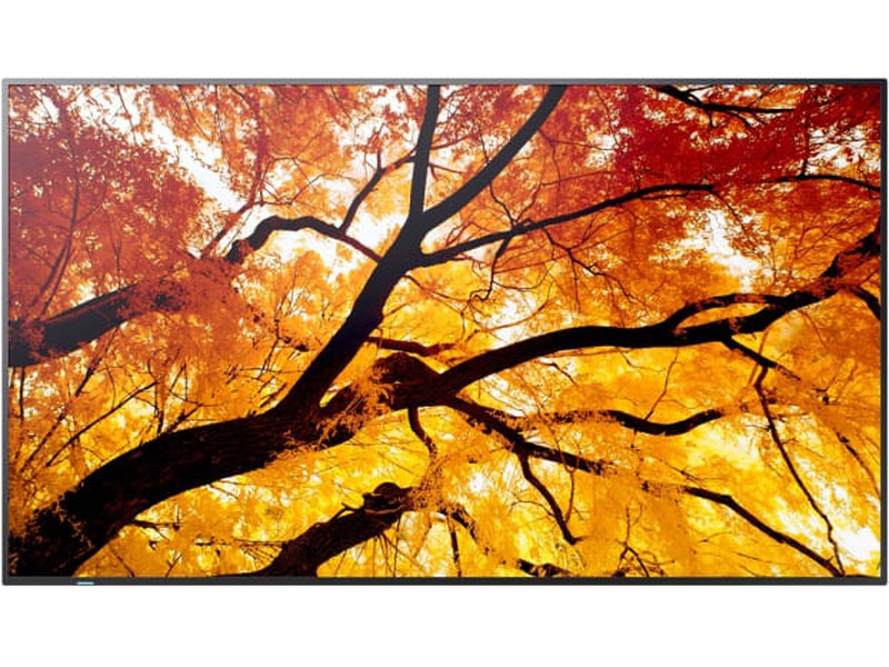 Sharp MultiSync PN-M552 55" 4K UHD 550nits 24/7 Commercial Display