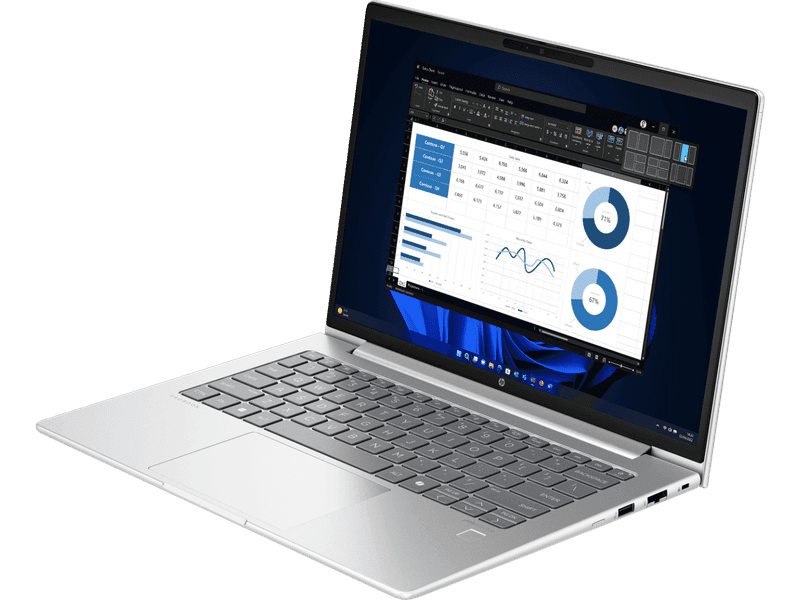 HP ProBook 445 G11 Ryzen 5 16GB 512GB SSD, 14" WUXGA AG Laptop W11P 1YR