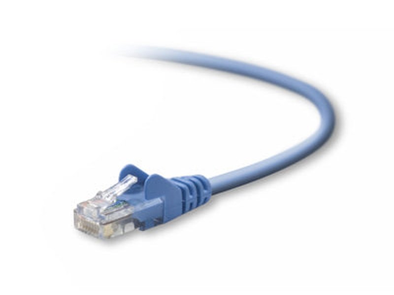 Belkin 2M CAT5e RJ-45 Ethernet Cable - Blue